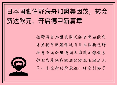 日本国脚佐野海舟加盟美因茨，转会费达欧元，开启德甲新篇章